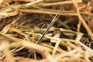 needle-in-a-haystack-690x462